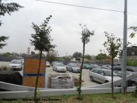 Imagine atasata: Iulius Mall - 2014.10.15 - 17.jpg